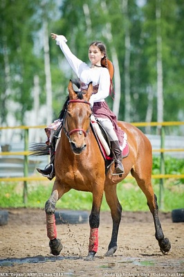 Обучение верховой езде в Ярославле. Сервис Ultra Подарки. Купить обучение верховой езде в Ярославле. Вы сможете попробовать курс по верховой езде и конные прогулки. Сервис UltraPodarki.ru 8 800 505 95 30. Обучение верховой езде, верховая езда в Ярославле, верховая езда Ярославль, конный спорт, уроки верховой езды, школа верховой езды, конные прогулки, верховая езда, школа верховой езды в Ярославле, конные прогулки в Ярославле, обучение верховой езде в Ярославле, конный спорт в Ярославле, уроки верховой езды в Ярославле