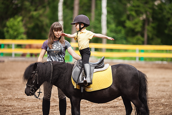 Обучение верховой езде в Ярославле. Сервис Ultra Подарки. Купить обучение верховой езде в Ярославле. Вы сможете попробовать курс по верховой езде и конные прогулки. Сервис UltraPodarki.ru 8 800 505 95 30. Обучение верховой езде, верховая езда в Ярославле, верховая езда Ярославль, конный спорт, уроки верховой езды, школа верховой езды, конные прогулки, верховая езда, школа верховой езды в Ярославле, конные прогулки в Ярославле, обучение верховой езде в Ярославле, конный спорт в Ярославле, уроки верховой езды в Ярославле
