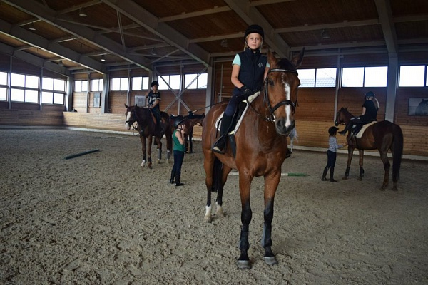 Обучение верховой езде в Ярославле. Сервис Ultra Подарки. Купить обучение верховой езде в Ярославле. Вы сможете попробовать курс по верховой езде и конные прогулки. Сервис UltraPodarki.ru 8 800 505 95 30. Обучение верховой езде, верховая езда в Ярославле, верховая езда Ярославль, конный спорт, уроки верховой езды, школа верховой езды, конные прогулки, верховая езда, школа верховой езды в Ярославле, конные прогулки в Ярославле, обучение верховой езде в Ярославле, конный спорт в Ярославле, уроки верховой езды в Ярославле