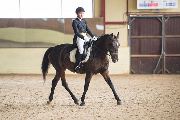 Обучение верховой езде в Ярославле. Сервис Ultra Подарки. Купить обучение верховой езде в Ярославле. Вы сможете попробовать курс по верховой езде и конные прогулки. Сервис UltraPodarki.ru 8 800 505 95 30. Обучение верховой езде, верховая езда в Ярославле, верховая езда Ярославль, конный спорт, уроки верховой езды, школа верховой езды, конные прогулки, верховая езда, школа верховой езды в Ярославле, конные прогулки в Ярославле, обучение верховой езде в Ярославле, конный спорт в Ярославле, уроки верховой езды в Ярославле