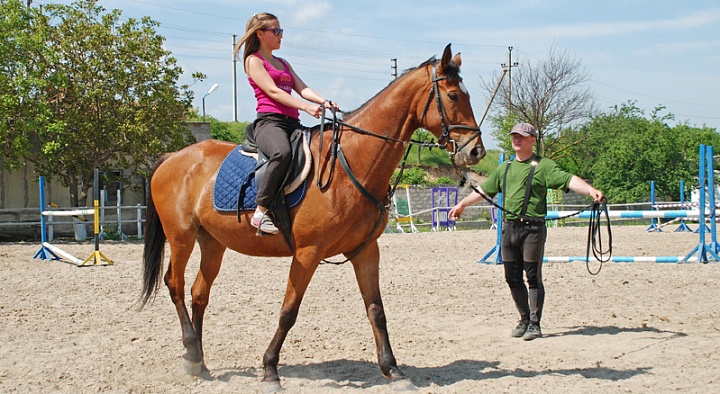 Обучение верховой езде в Ярославле. Сервис Ultra Подарки. Купить обучение верховой езде в Ярославле. Вы сможете попробовать курс по верховой езде и конные прогулки. Сервис UltraPodarki.ru 8 800 505 95 30. Обучение верховой езде, верховая езда в Ярославле, верховая езда Ярославль, конный спорт, уроки верховой езды, школа верховой езды, конные прогулки, верховая езда, школа верховой езды в Ярославле, конные прогулки в Ярославле, обучение верховой езде в Ярославле, конный спорт в Ярославле, уроки верховой езды в Ярославле
