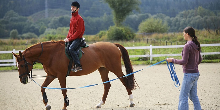 Обучение верховой езде в Ярославле. Сервис Ultra Подарки. Купить обучение верховой езде в Ярославле. Вы сможете попробовать курс по верховой езде и конные прогулки. Сервис UltraPodarki.ru 8 800 505 95 30. Обучение верховой езде, верховая езда в Ярославле, верховая езда Ярославль, конный спорт, уроки верховой езды, школа верховой езды, конные прогулки, верховая езда, школа верховой езды в Ярославле, конные прогулки в Ярославле, обучение верховой езде в Ярославле, конный спорт в Ярославле, уроки верховой езды в Ярославле