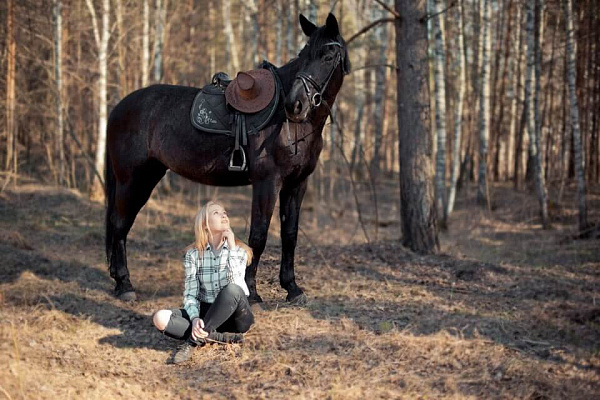 Конная прогулка для двоих в Ярославле. Подарочные сертификаты Ultra Подарки. Купить оригинальный подарок или подарочный сертификат на Конную прогулку для двоих в Ярославле. Сервис UltraPodarki.ru 8-800-505-9530. Катание на лошадях, Прогулка на лошади, Прогулка на лошадях для двоих, Конная прогулка, конный клуб, Конный Парк в Ярославле, конная прогулка, конная прогулка в Ярославле