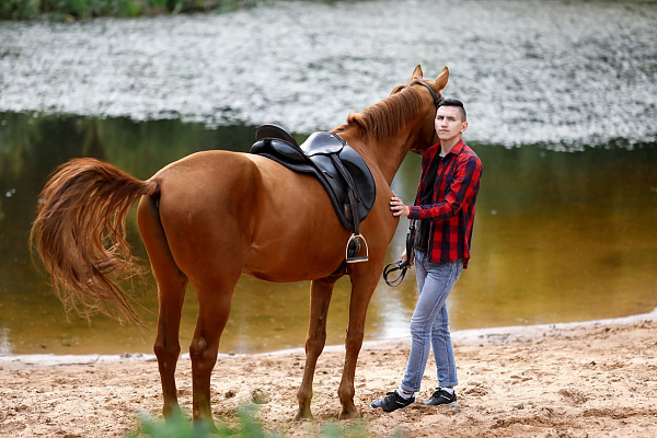 Конная прогулка для двоих в Ярославле. Подарочные сертификаты Ultra Подарки. Купить оригинальный подарок или подарочный сертификат на Конную прогулку для двоих в Ярославле. Сервис UltraPodarki.ru 8-800-505-9530. Катание на лошадях, Прогулка на лошади, Прогулка на лошадях для двоих, Конная прогулка, конный клуб, Конный Парк в Ярославле, конная прогулка, конная прогулка в Ярославле
