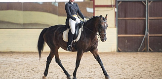 Верховая езда