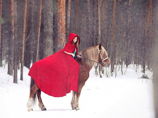 Конная прогулка для двоих в Ярославле. Подарочные сертификаты Ultra Подарки. Купить оригинальный подарок или подарочный сертификат на Конную прогулку для двоих в Ярославле. Сервис UltraPodarki.ru 8-800-505-9530. Катание на лошадях, Прогулка на лошади, Прогулка на лошадях для двоих, Конная прогулка, конный клуб, Конный Парк в Ярославле, конная прогулка, конная прогулка в Ярославле