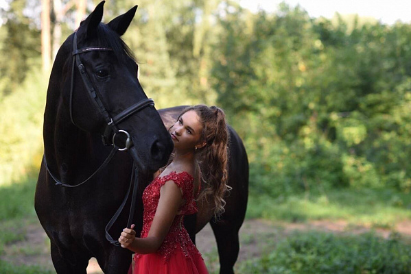 Конная прогулка для двоих в Ярославле. Подарочные сертификаты Ultra Подарки. Купить оригинальный подарок или подарочный сертификат на Конную прогулку для двоих в Ярославле. Сервис UltraPodarki.ru 8-800-505-9530. Катание на лошадях, Прогулка на лошади, Прогулка на лошадях для двоих, Конная прогулка, конный клуб, Конный Парк в Ярославле, конная прогулка, конная прогулка в Ярославле