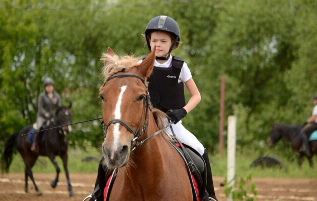 Конная прогулка для двоих в Ярославле. Подарочные сертификаты Ultra Подарки. Купить оригинальный подарок или подарочный сертификат на Конную прогулку для двоих в Ярославле. Сервис UltraPodarki.ru 8-800-505-9530. Катание на лошадях, Прогулка на лошади, Прогулка на лошадях для двоих, Конная прогулка, конный клуб, Конный Парк в Ярославле, конная прогулка, конная прогулка в Ярославле