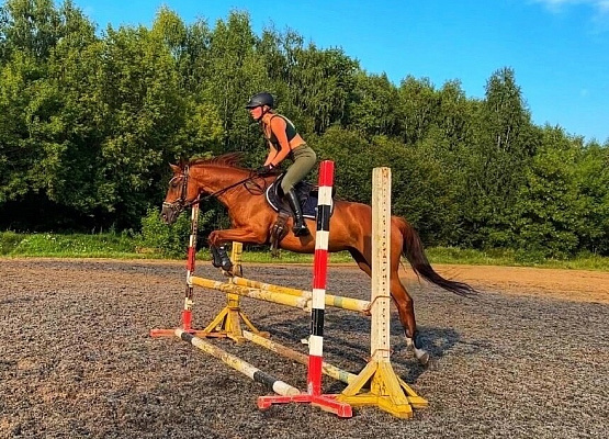 Конная прогулка для двоих в Ярославле. Подарочные сертификаты Ultra Подарки. Купить оригинальный подарок или подарочный сертификат на Конную прогулку для двоих в Ярославле. Сервис UltraPodarki.ru 8-800-505-9530. Катание на лошадях, Прогулка на лошади, Прогулка на лошадях для двоих, Конная прогулка, конный клуб, Конный Парк в Ярославле, конная прогулка, конная прогулка в Ярославле