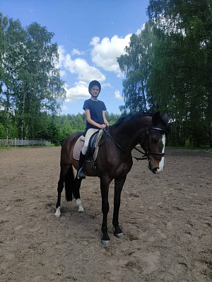 Конная прогулка для двоих в Ярославле. Подарочные сертификаты Ultra Подарки. Купить оригинальный подарок или подарочный сертификат на Конную прогулку для двоих в Ярославле. Сервис UltraPodarki.ru 8-800-505-9530. Катание на лошадях, Прогулка на лошади, Прогулка на лошадях для двоих, Конная прогулка, конный клуб, Конный Парк в Ярославле, конная прогулка, конная прогулка в Ярославле