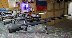 Стрельба из пневматического оружия Стрельба из пневматического оружия